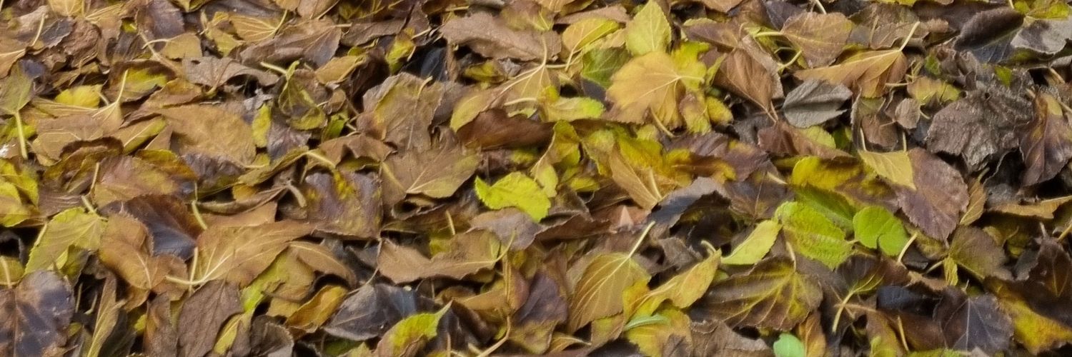 _MuratCatak's profile banner image