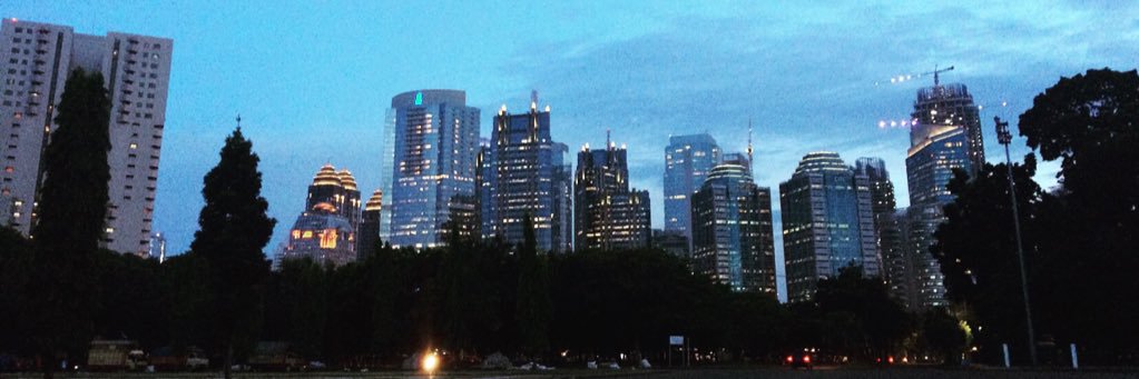 🌹 banner