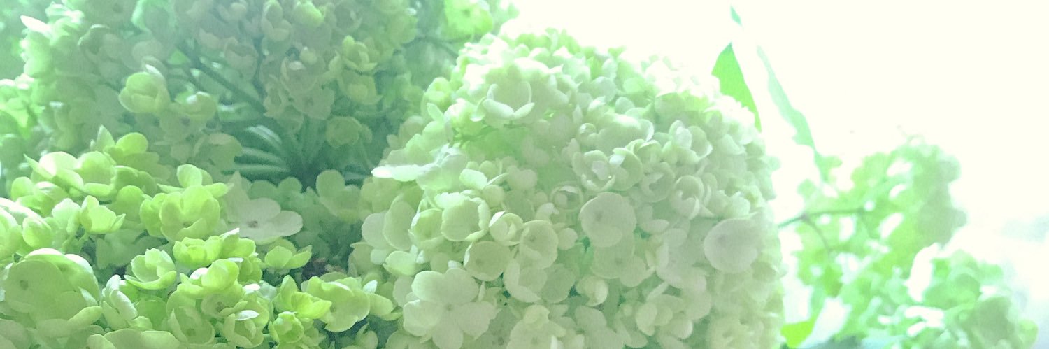 ayako_69's profile banner image