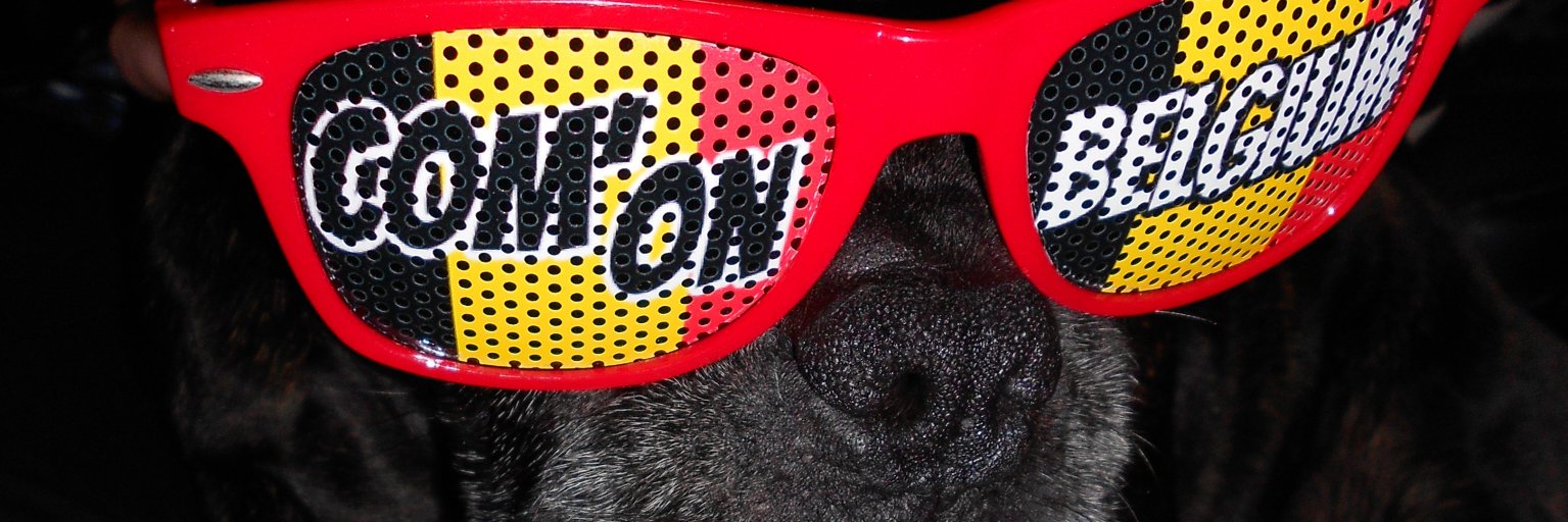 Potke's profile banner image