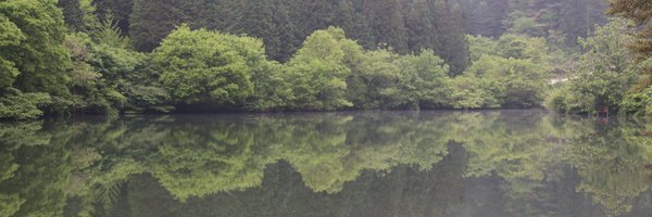 abntop21 Profile Banner