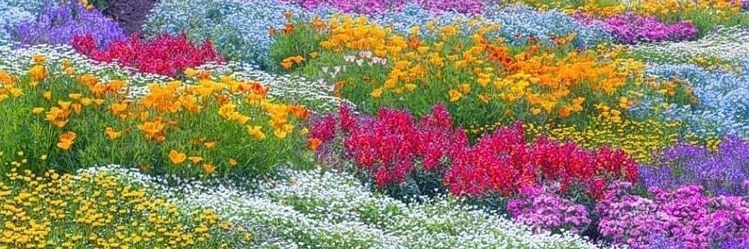 Therese Akouri banner