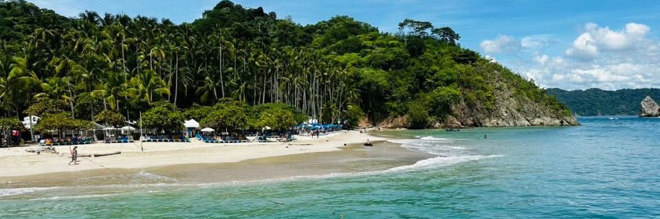 Coach Wise, M.S. banner