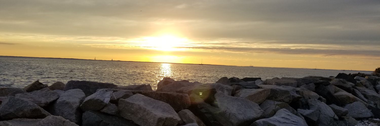 Cellucci_m's profile banner image