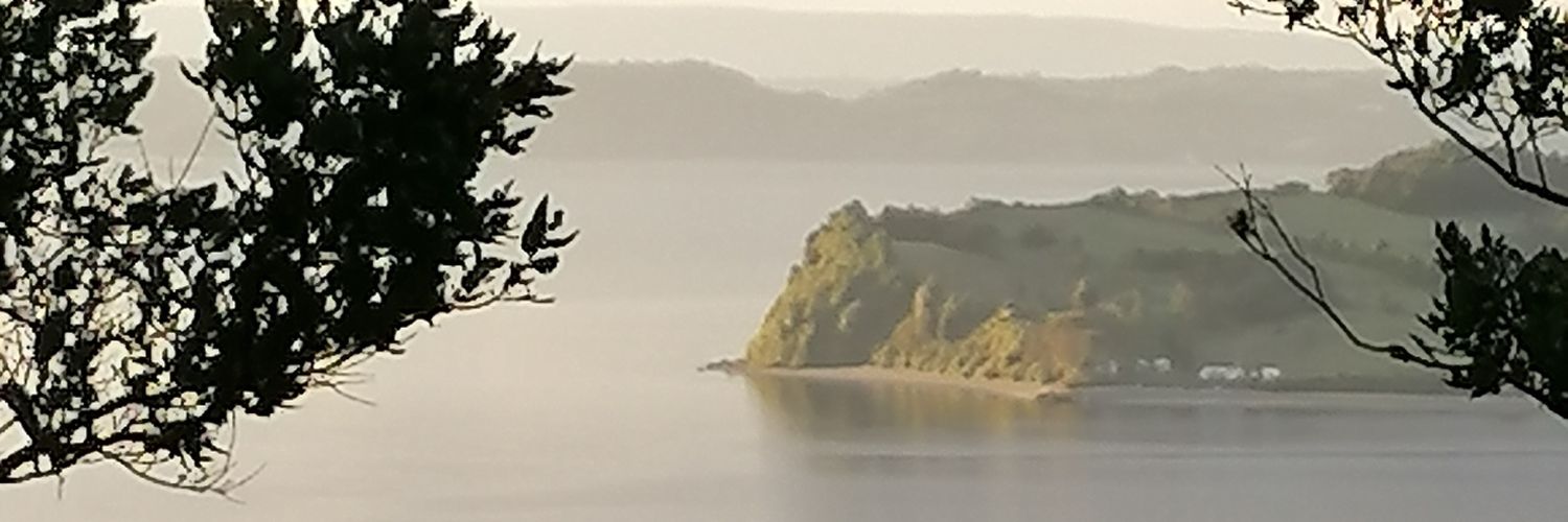 salarcon66's profile banner image