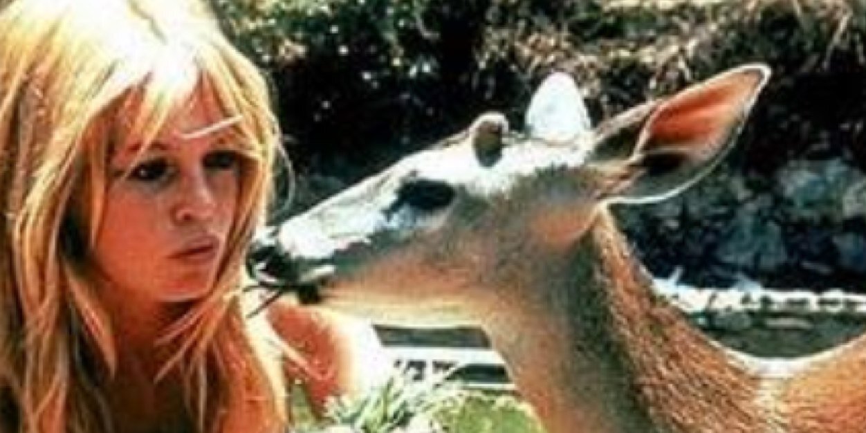 RiannaBerg's profile banner image
