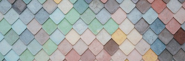 CechErin Profile Banner