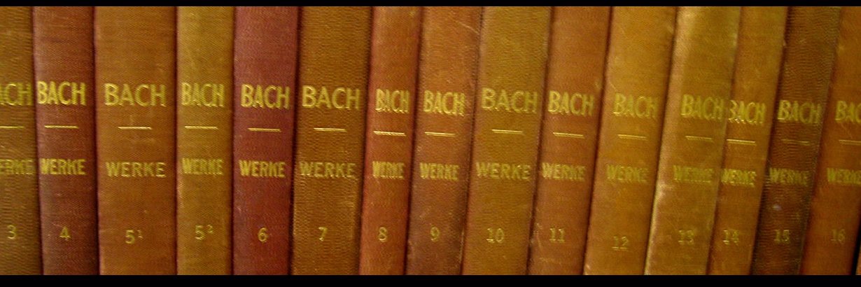 scrollingbach's profile banner image