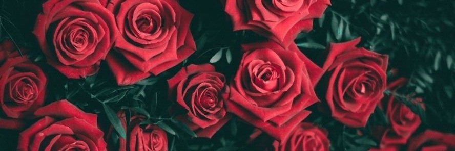 _CinthiaG_'s profile banner image