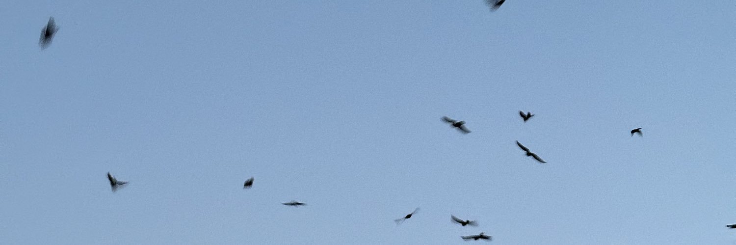 zackfast's profile banner image