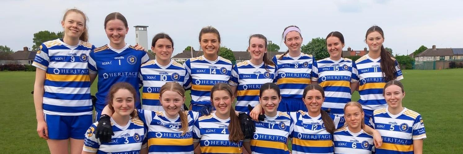 Templeogue Synge St banner