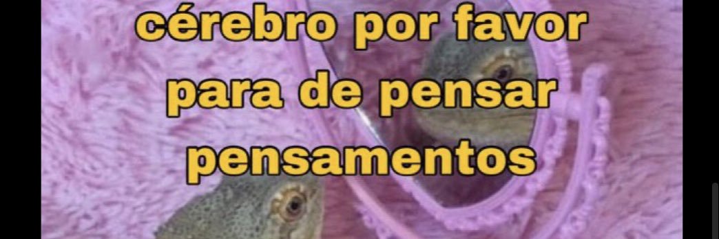 eriquitooo's profile banner image
