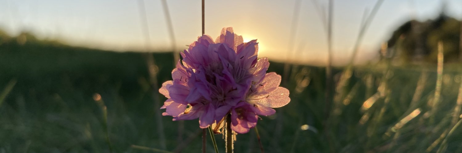 Eleanor Buckley banner