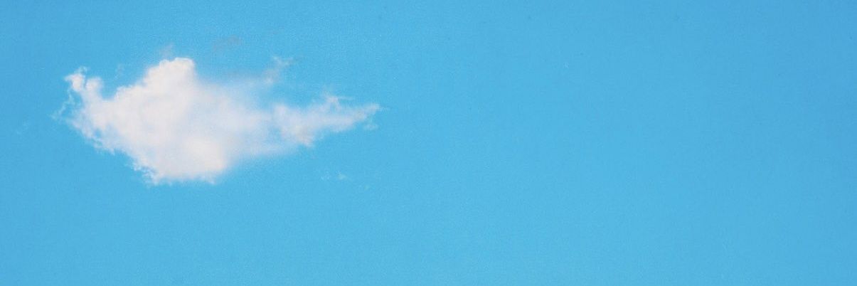 𓃹 .⋆:✧ banner