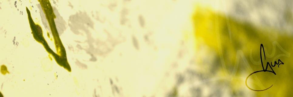 GusEconomou's profile banner image