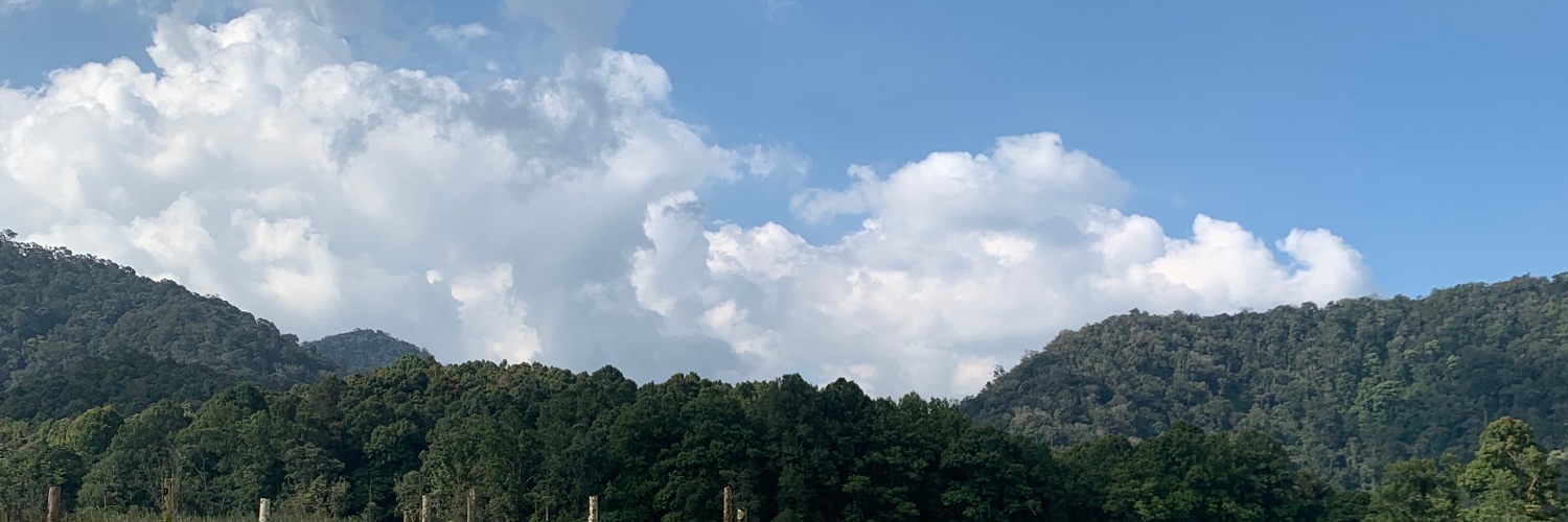 ftmhrini's profile banner image