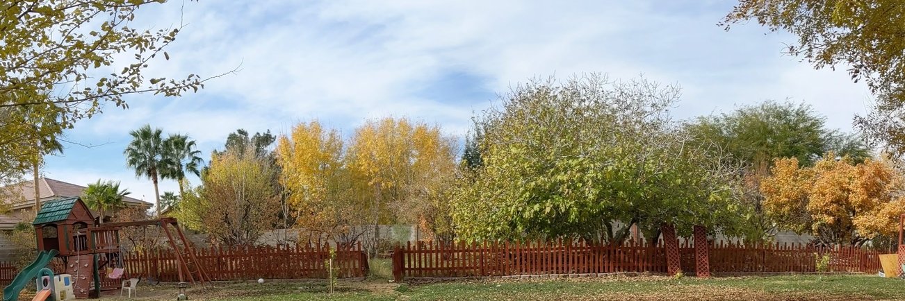 🤦🏻‍♂️ ZeraBP 🤦🏻‍♂️ banner