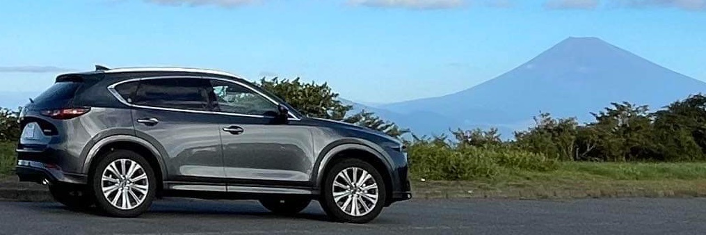 IMAIZUMI Mitzyuki banner