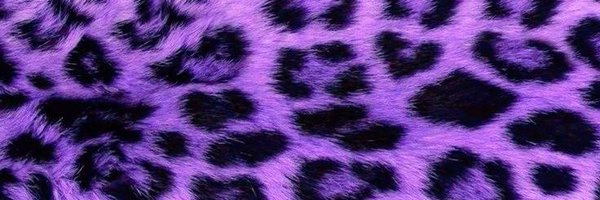 roxointerior Profile Banner
