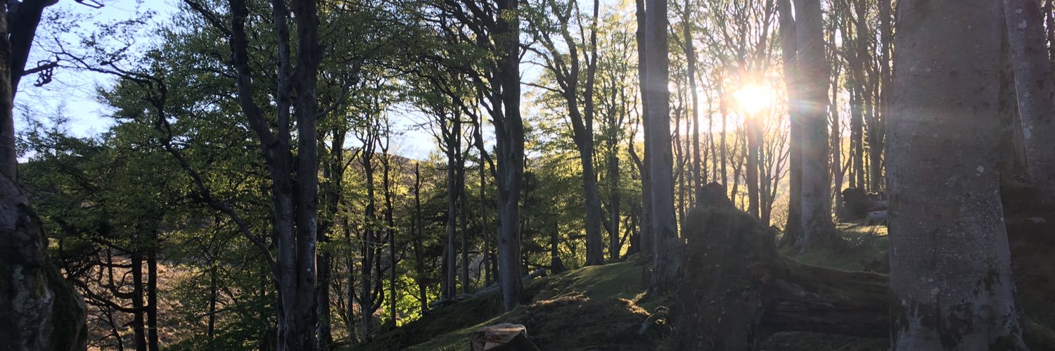 Miss Atkinson (she/her) banner