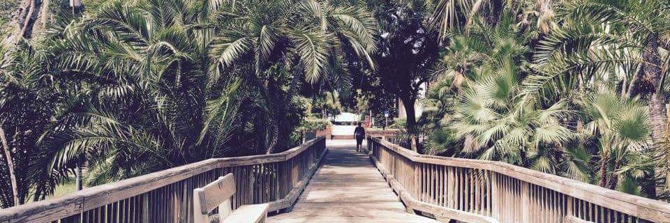 Florida Tech Crimson banner