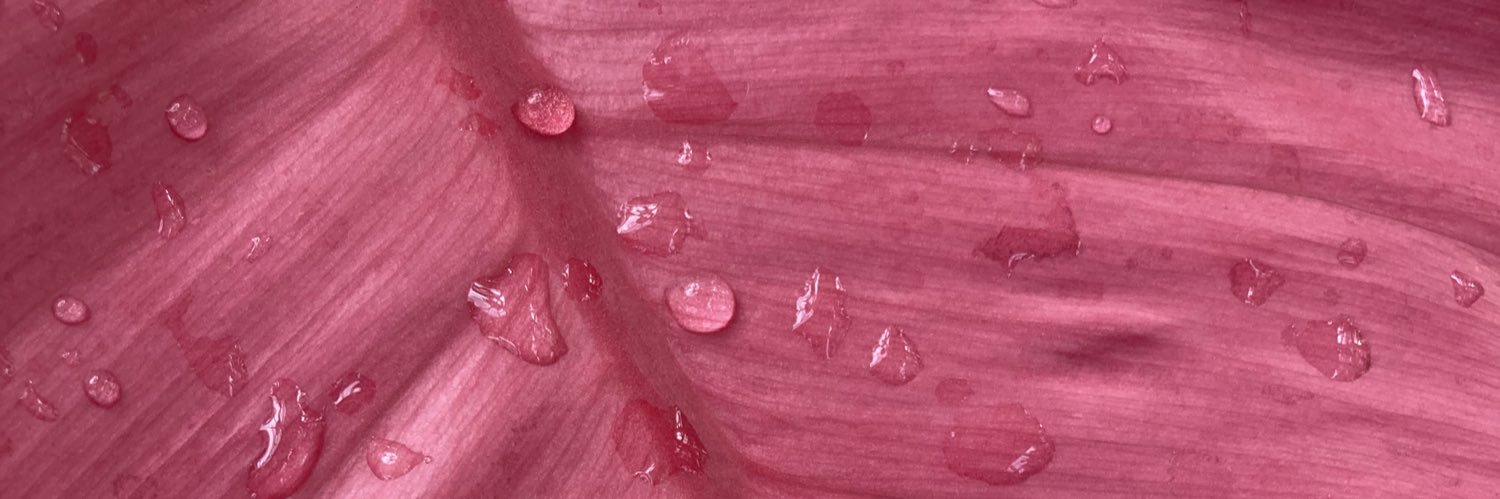 :) banner