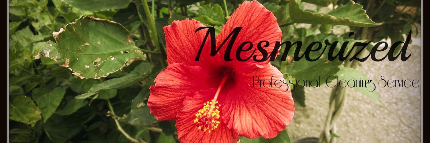 MesmerizedPCS's profile banner image