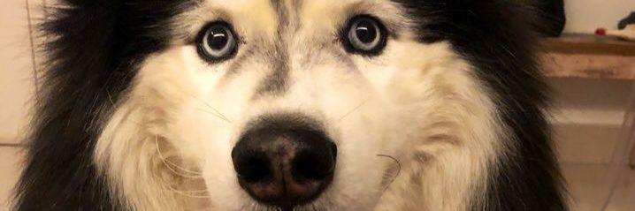 Clunse's profile banner image