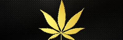SDMediMarijuana's profile banner image