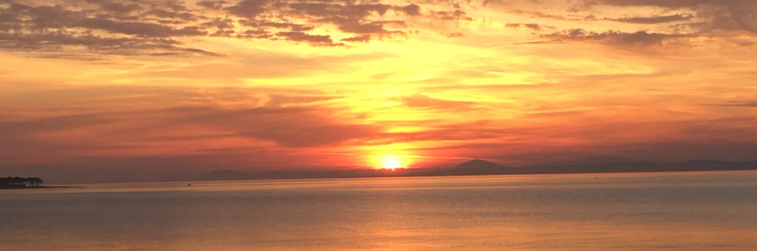 Camifacini's profile banner image