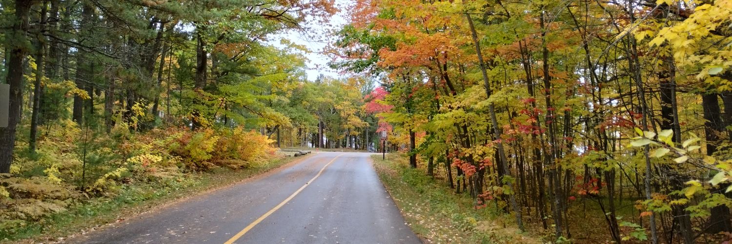 The Wing Wizard🔰#GlazersOut🔰 banner