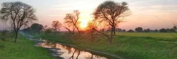 rkmeena52 Profile Banner