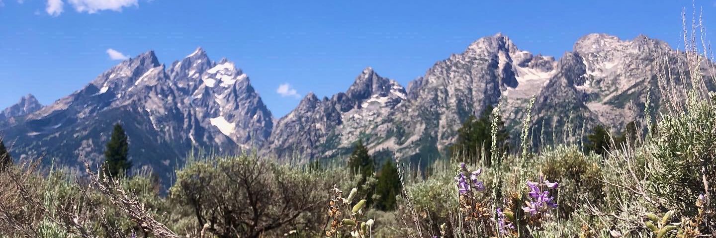 EmilyDirkss's profile banner image