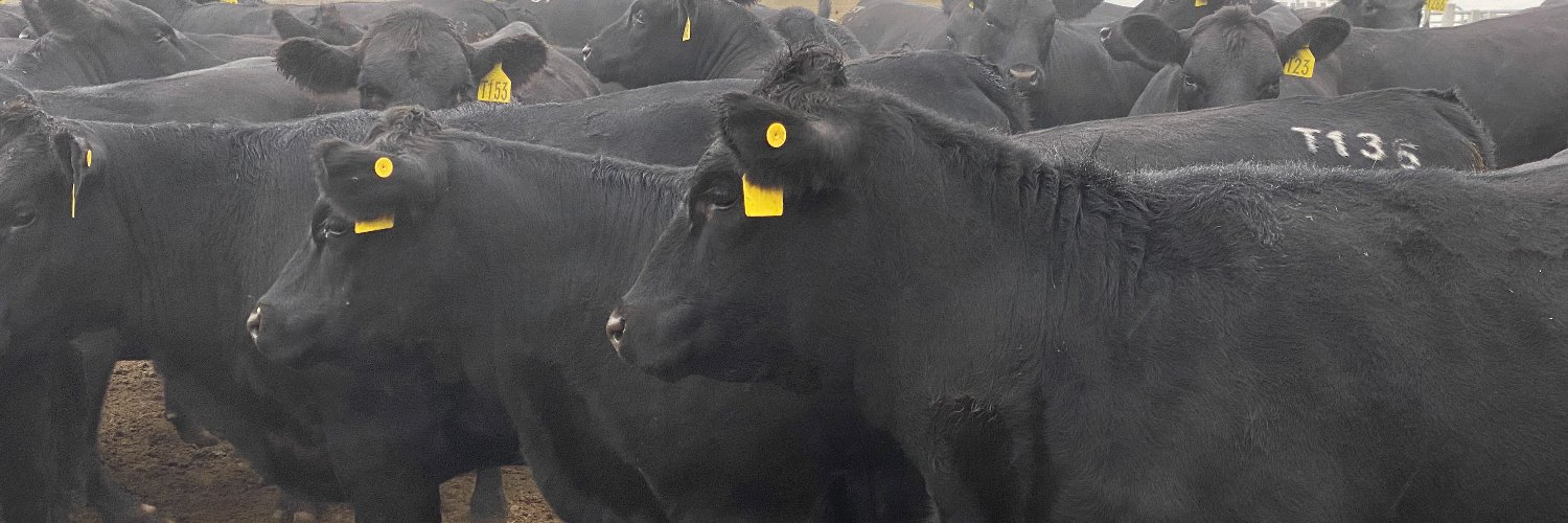 RuralDeliveryTV's profile banner image