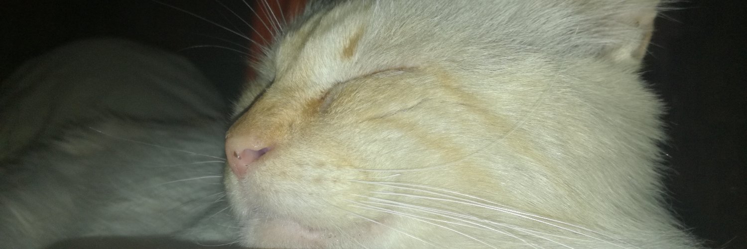 floofster1's profile banner image