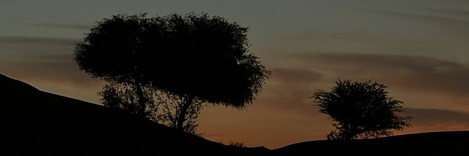 Saeed |🇦🇪 banner