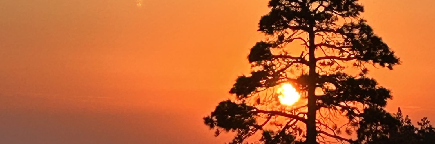 JackiSchechner banner