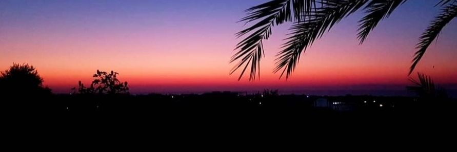 Çağrı banner