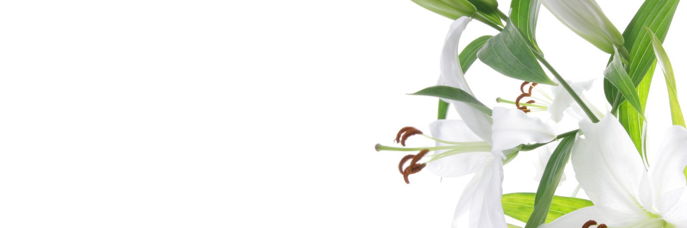 care_avani's profile banner image