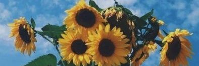 CamiAiilenn's profile banner image