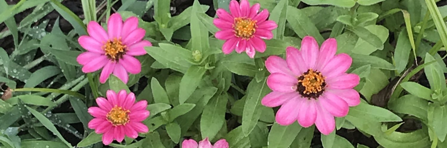 ChrissyLynn282's profile banner image