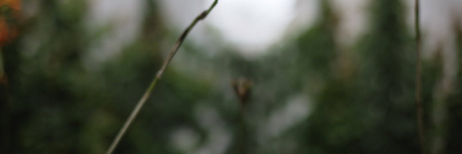 Alexandra_Maro's profile banner image