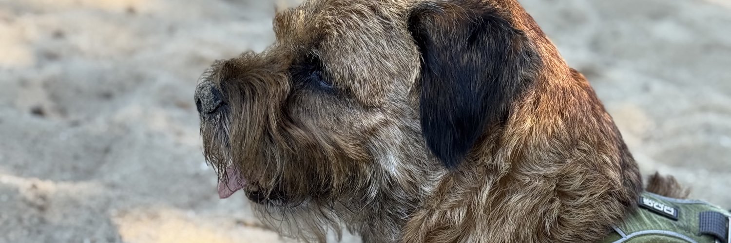 Ruben, Hendrik🐾, Kelso🐾🌈 banner