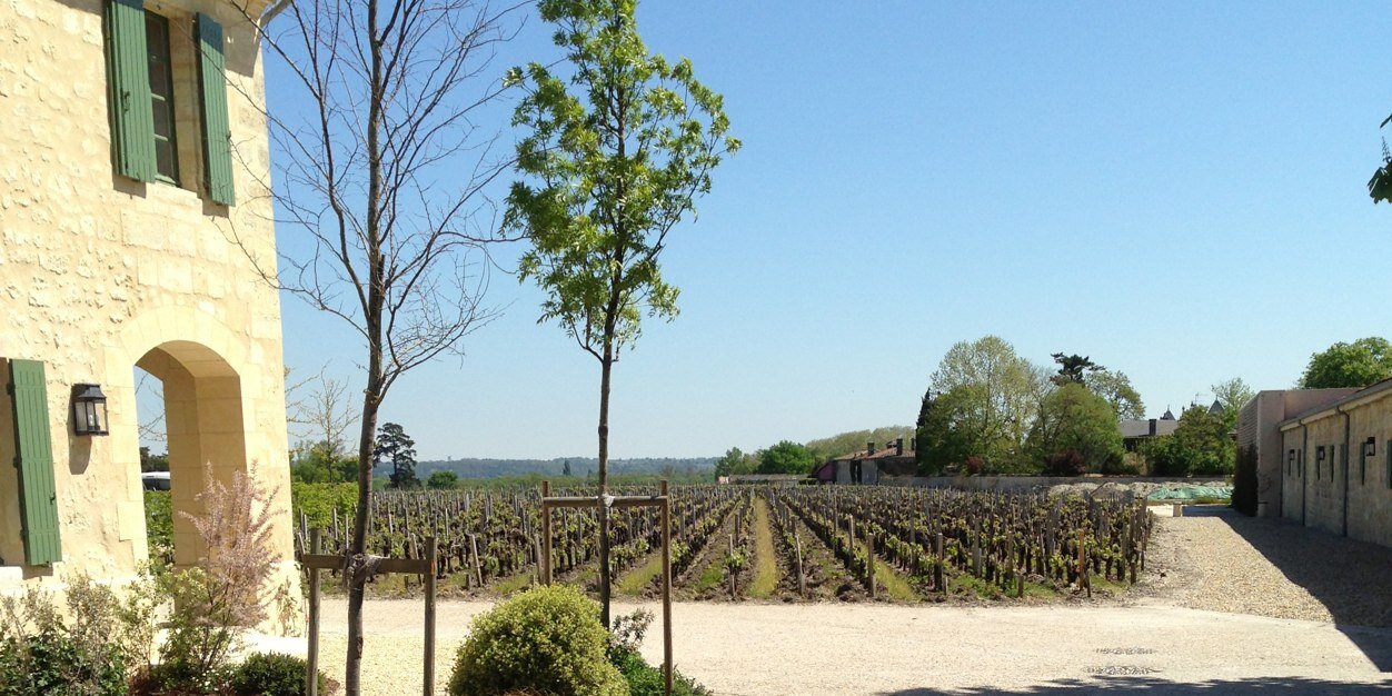 WineKeyz's profile banner image