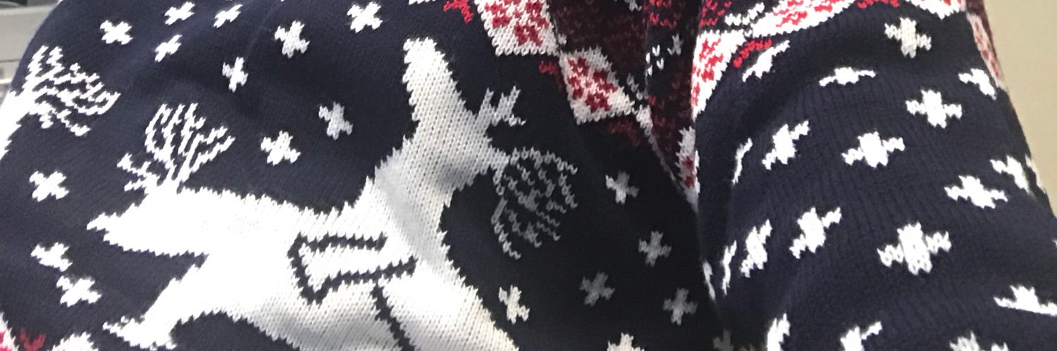 Renout Rolfes banner