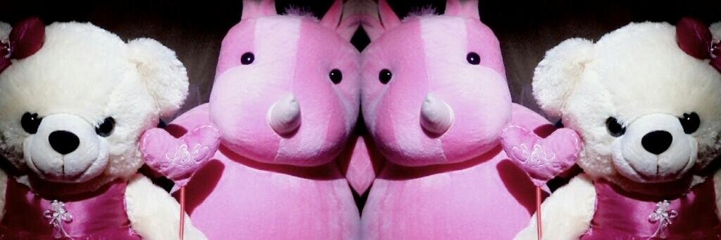 FirdaAFhm's profile banner image