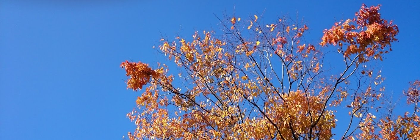 e49510's profile banner image