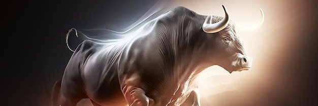 Nobotorun's profile banner image