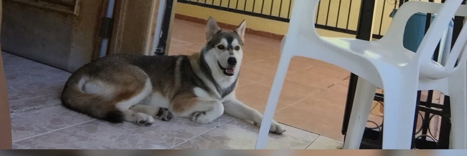 juandediosx3's profile banner image