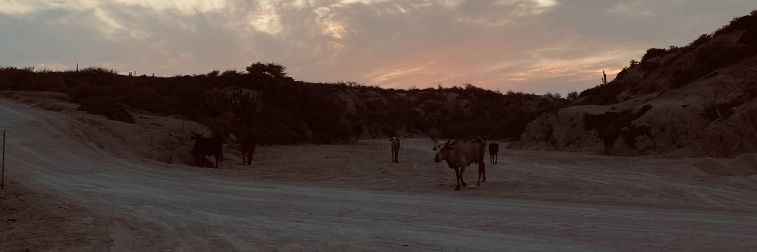 analulara's profile banner image